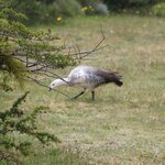 Photo taken by Jananee J