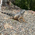 Photo taken by Cynthia C