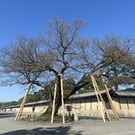 Photo taken by Kirti P