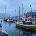 Photo taken by Sara L