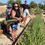 Photo taken by Lisa C