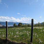 Photo taken by Karen M