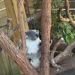 Photo taken by Shannon R