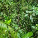 Photo taken by Darla D