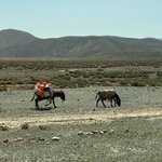 Photo taken by Tom B