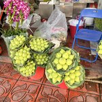 Photo taken by Lisa G