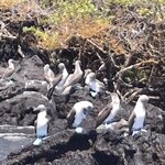 Photo taken by Jayme B