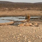 Photo taken by Nigel R