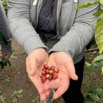 Photo taken by Karen P