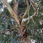 Photo taken by Amy Z