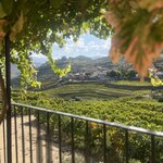 Photo taken by Patty D