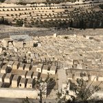 Photo taken by Marion M