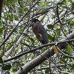 Photo taken by Natasha J