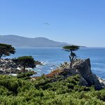 Photo taken by Silvain B