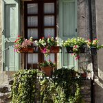 Photo taken by Martha D