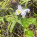 Photo taken by Kim L