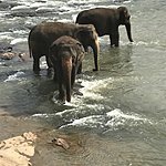 Photo taken by Geetha A