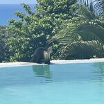 Photo taken by Cathy T