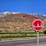 Photo taken by Bianca C