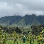 Photo taken by Fuad A