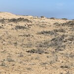 Photo taken by Michael G