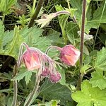 Photo taken by Cara W