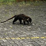 Photo taken by Martin L