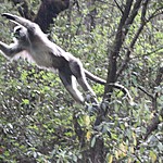 Photo taken by carole c