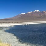 Photo taken by Tehila S