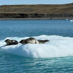 Photo taken by Amy W