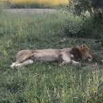 Photo taken by Crystall P