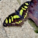 Photo taken by Mary D