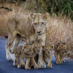 Photo taken by Paul B