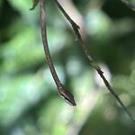 Photo taken by Ben B