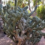 Photo taken by Logan J