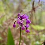 Photo taken by Michelle C