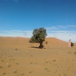 Photo taken by Maria R