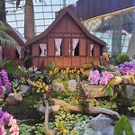 Photo taken by Sabiha K