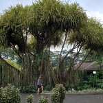 Photo taken by Garritt V