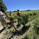 Photo taken by Rocky L