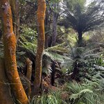 Photo taken by Judah J