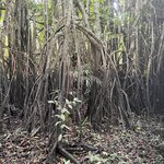 Photo taken by Deborah S