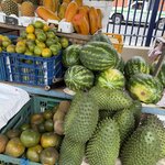 Photo taken by Sharon J