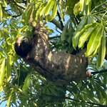 Photo taken by Amanda P