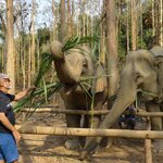 Photo taken by Steve W