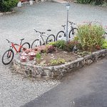 Photo taken by Anne T