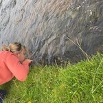 Photo taken by Stephanie S