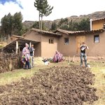 Working on Fredy's field with ancient Incan tool | Photo taken by Elisa M