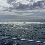 Photo taken by Mary D