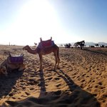 Photo taken by Cynthia T